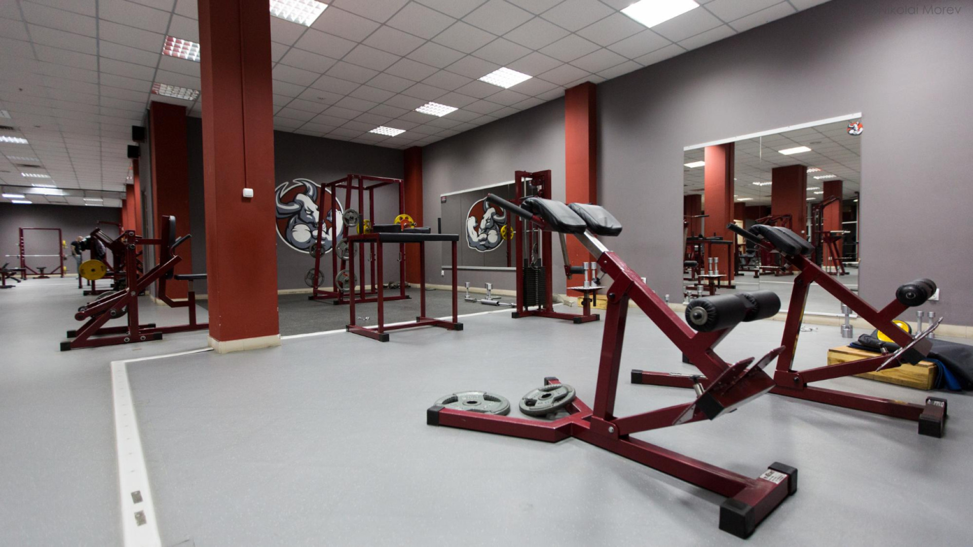 3 raisons qui donnent envie d’aller à la salle de sport