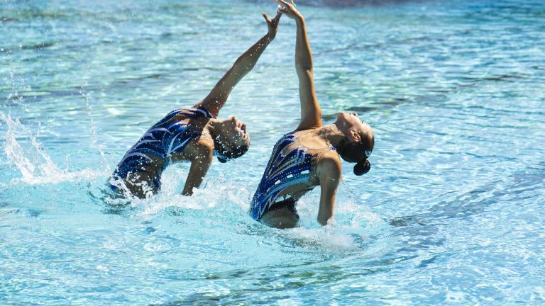Spectacle aquatique : une expérience immersive à ne pas manquer !